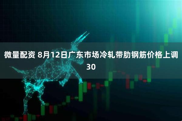 微量配资 8月12日广东市场冷轧带肋钢筋价格上调30