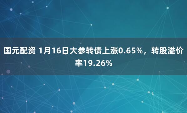 国元配资 1月16日大参转债上涨0.65%，转股溢价率19.26%